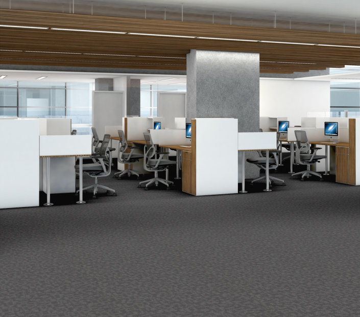 Commercial carpet installed across a Calgary open-plan office