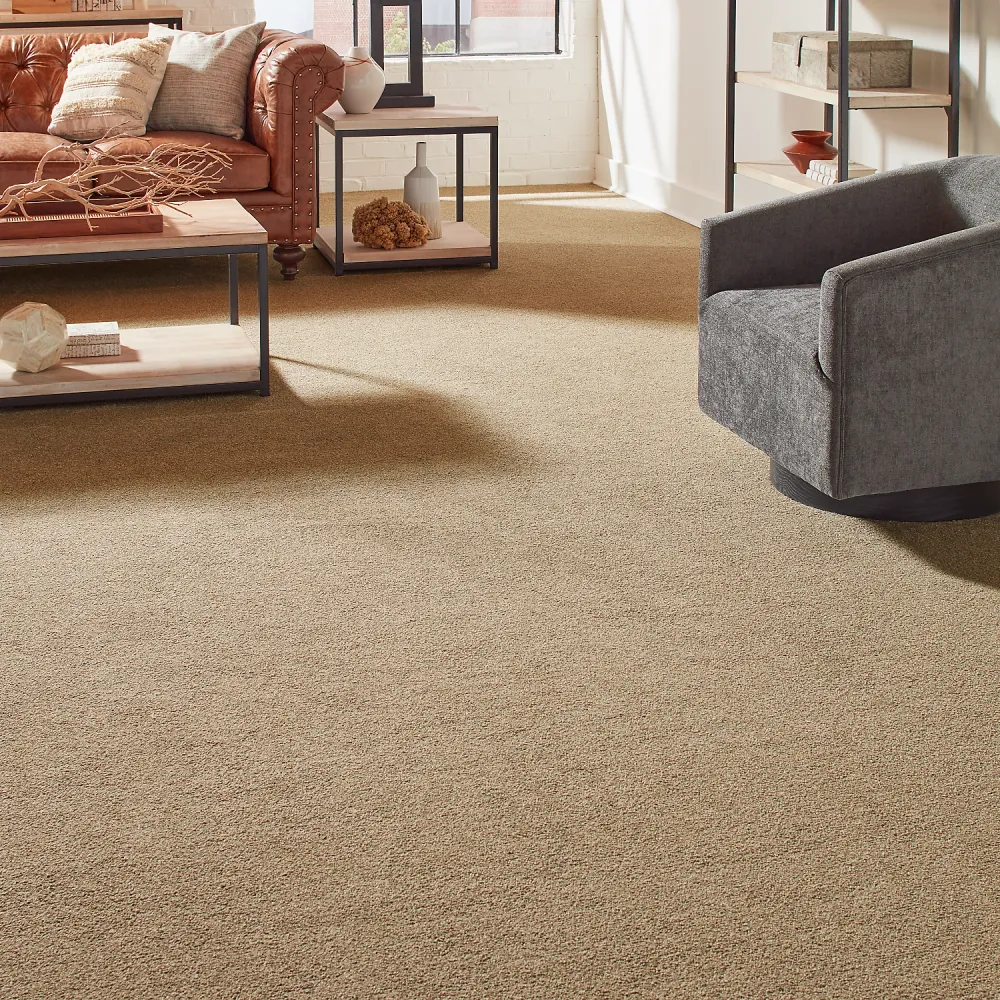 Large living and dining area rug size sample
